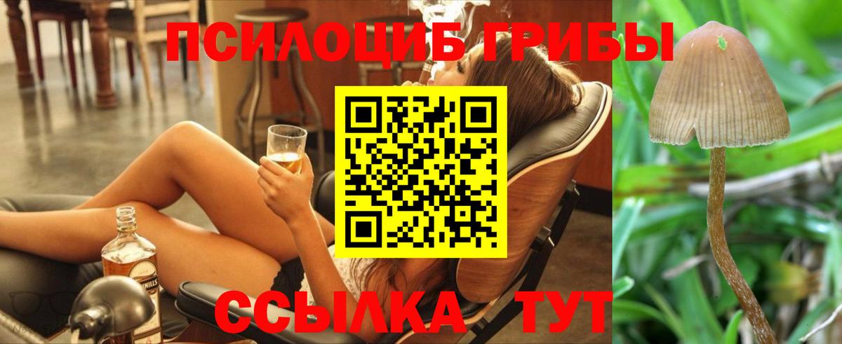Псилоцибиновые грибы Psilocybine cubensis  Вход с VPN  где купить наркоту  Протвино 